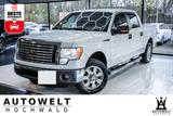 Ford F 150 3.5 V6 XLT Pick Up AHK Trittbretter KAMERA - Ford F 150: Xlt