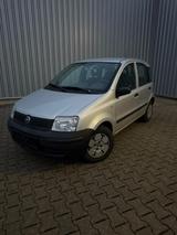 Fiat Panda - Fiat Panda in Hamm