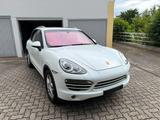 Porsche Cayenne Diesel Platinum Edition Platinum Edition - Porsche in Schwerin