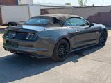Ford Mustang 5.0 Ti-VCT V8 GT Cabrio 50 Jahre Edition - Ford Mustang: Edition