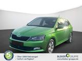 Skoda (NJ3) Style - Skoda Fabia NJ
