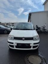 Fiat Panda - Fiat Panda in Ludwigshafen