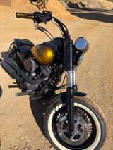 Harley-Davidson FD2 Dyna Gold-Grün  - HARLEY-DAVIDSON DYNA