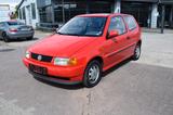 Volkswagen Polo 1.0 Voll Scheckheft gepflegt*2.Hand*Schiebe - Volkswagen Polo aus 1997