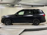 BMW X7 M50i Matt B&W Standhzg AHK Massage TV - BMW X7: M