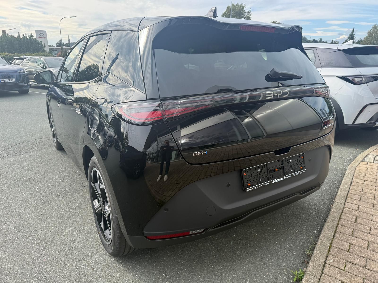BYD DOLPHIN