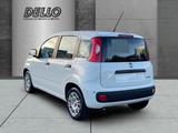Fiat Panda Gewerbeleasing Klimaanlage Parkpilot ZV - Fiat Panda Neuwagen