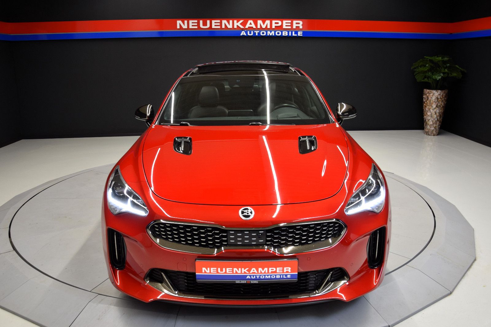 Fahrzeugabbildung Kia Stinger GT 4WD Pano Sitzbelü. Leder HuD h/k ACC