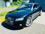 Audi S5 Cabriolet 3.0 TFSI quattro - Audi S5 aus 2011: Cabrio