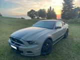 Ford Mustang V6 3.7 Automatik | EZ 02/2013... - Ford Mustang aus 2013: V6