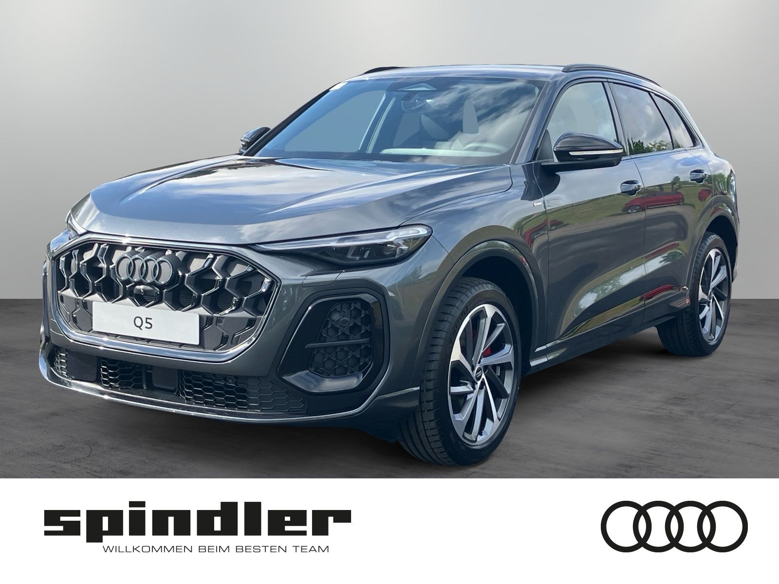 Audi Q5 SUV S-line TDI quattro S-tronic | AHK,360°