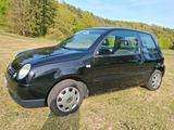 Volkswagen VW Lupo Oxford 1.0 TÜV NEU! - Volkswagen Lupo: Oxford