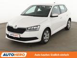 Skoda Fabia 1.0 TSI Ambition *CARPLAY*TEMPO*PDC*SHZ* - Skoda Fabia Gebrauchtwagen in Nürnberg