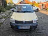 Fiat Panda 1.1l für Fahranfänger mit TÜV b... - : Kleinwagen, Für Fahranfänger