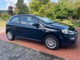 Fiat Punto Evo1.2 8V Active (Garagenfahrzeug), Top! - Fiat Punto Evo Gebrauchtwagen