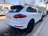 Porsche Cayenne S Voll Keyless go, CarPlay, Kamera  - Porsche Gebrauchtwagen in Freiburg