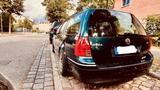 Volkswagen Bora 1.9TDI 96kW  Recaro- Leder, Xenon, Automati - Volkswagen Bora mit Diesel-Antrieb: Kombi, 1.9