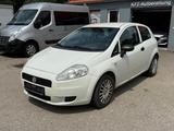 Fiat Grande Punto 1.2 8V Basis - Klima! - Euro 5! - Fiat Grande Punto: 2.5