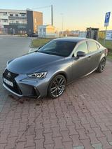 Lexus IS 300 300h F-Sport Automatik F-Sport - Lexus IS 300 Gebrauchtwagen
