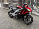 Aprilia APRILIA RS 125 E5 (Wenig Kilometer) - APRILIA 125