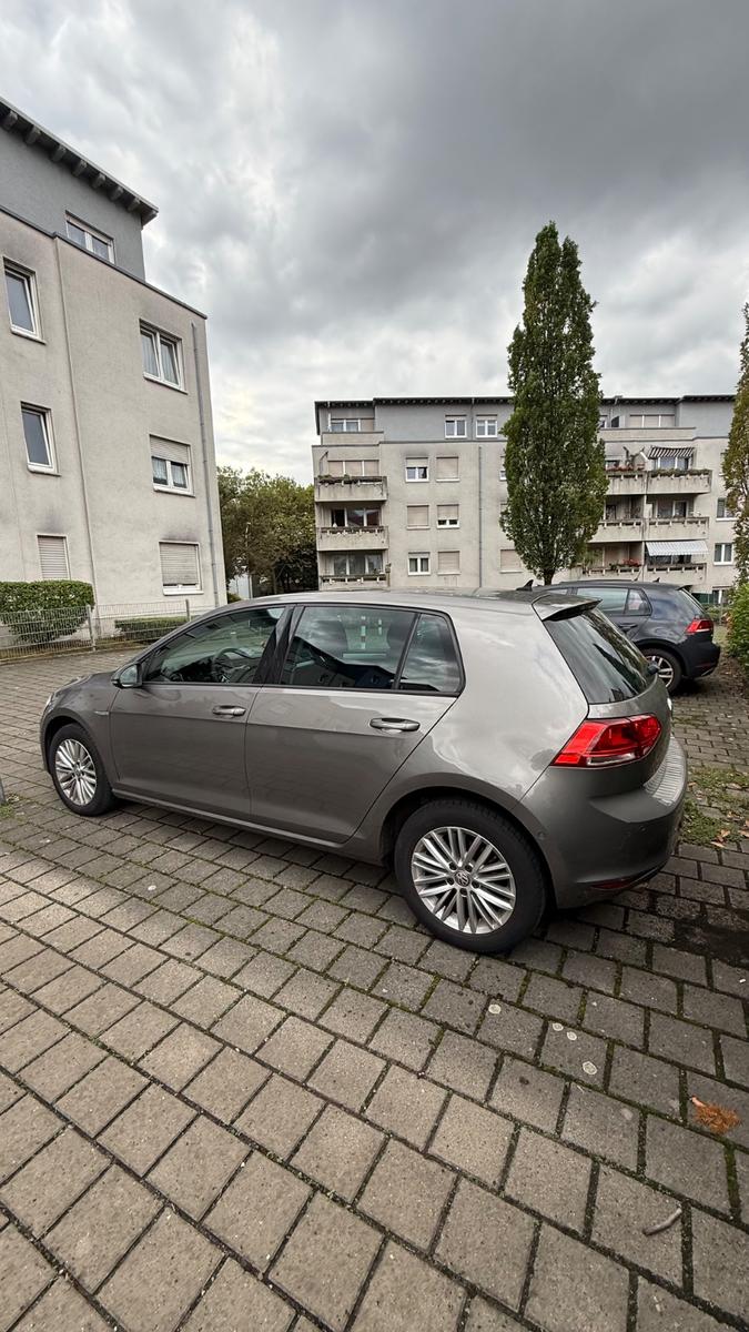 Volkswagen Golf 1.6 TDI DSG CUP KEYLESS GO