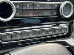 Fahrzeugabbildung Espace V Initiale Paris 7-Sitze/1.Hand/Pano/Bose