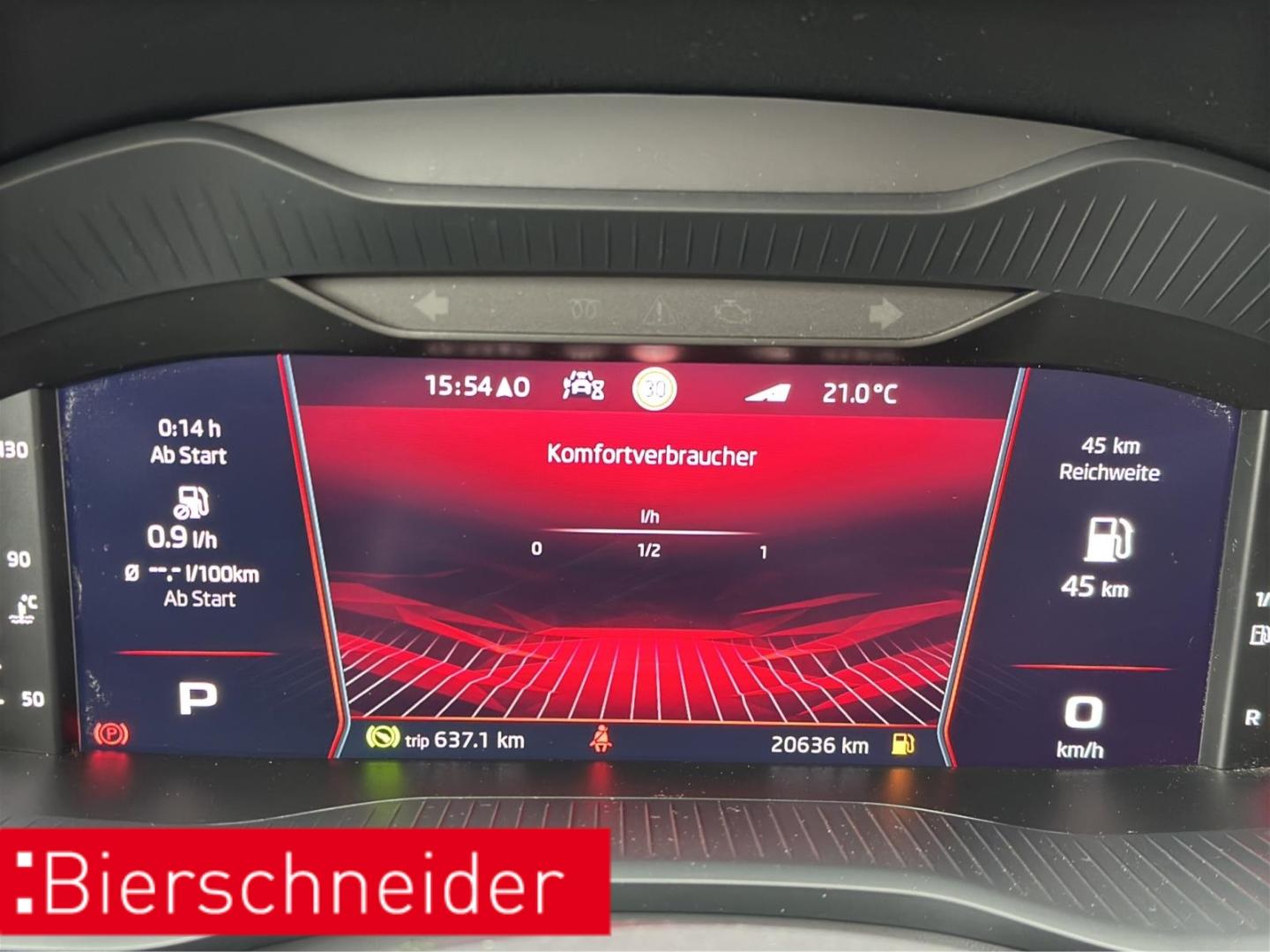 Skoda Kodiaq 2.0 TSI DSG RS KAMERA AHK LED NAVI SHZ