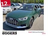 Audi A4 Allroad 50 TDI qu/Tip. *Matrix*AHK*Pano*HuD* - Audi A4 Allroad: Grün