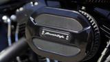Harley-Davidson SLIM / Softail / FLS 103 / Custom UMBAU - CHOPPER SOFTAIL