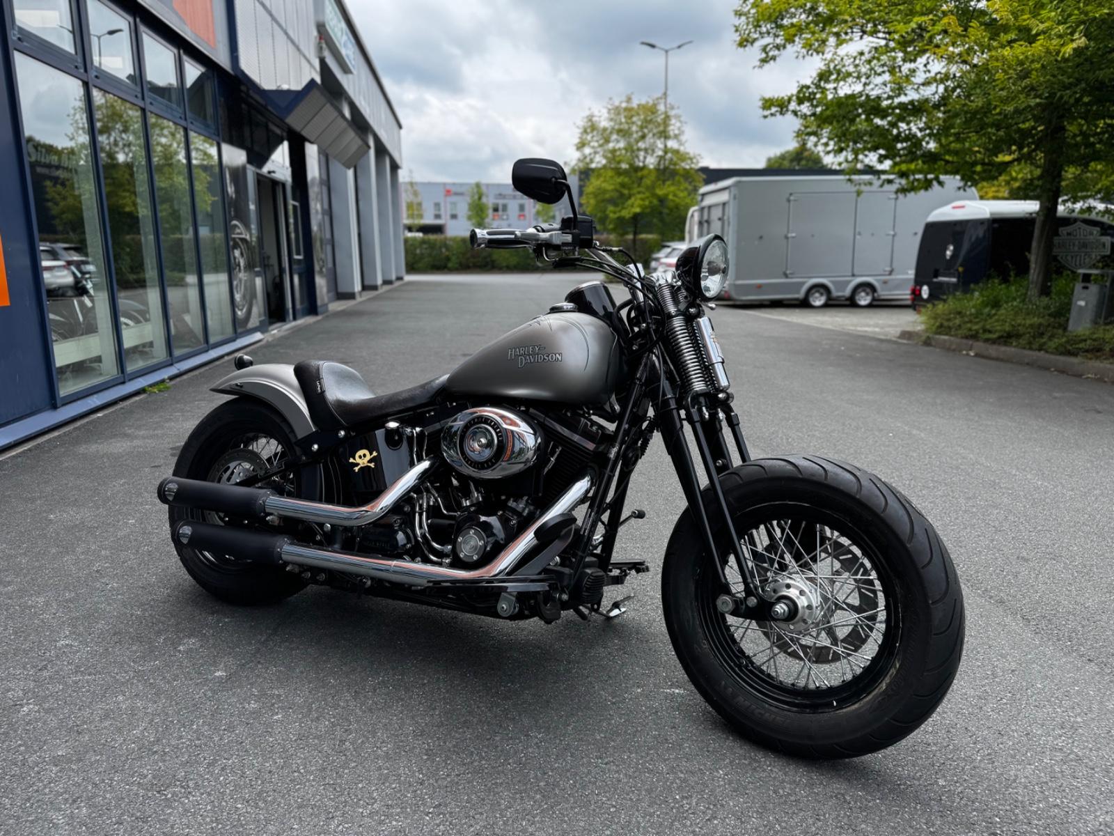 Harley-Davidson CROSS BONES*