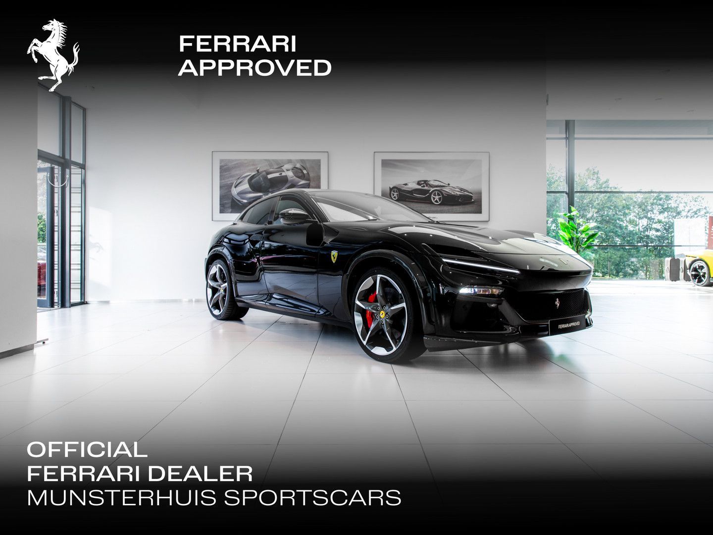 Ferrari Purosangue ~Ferrari Munsterhuis~