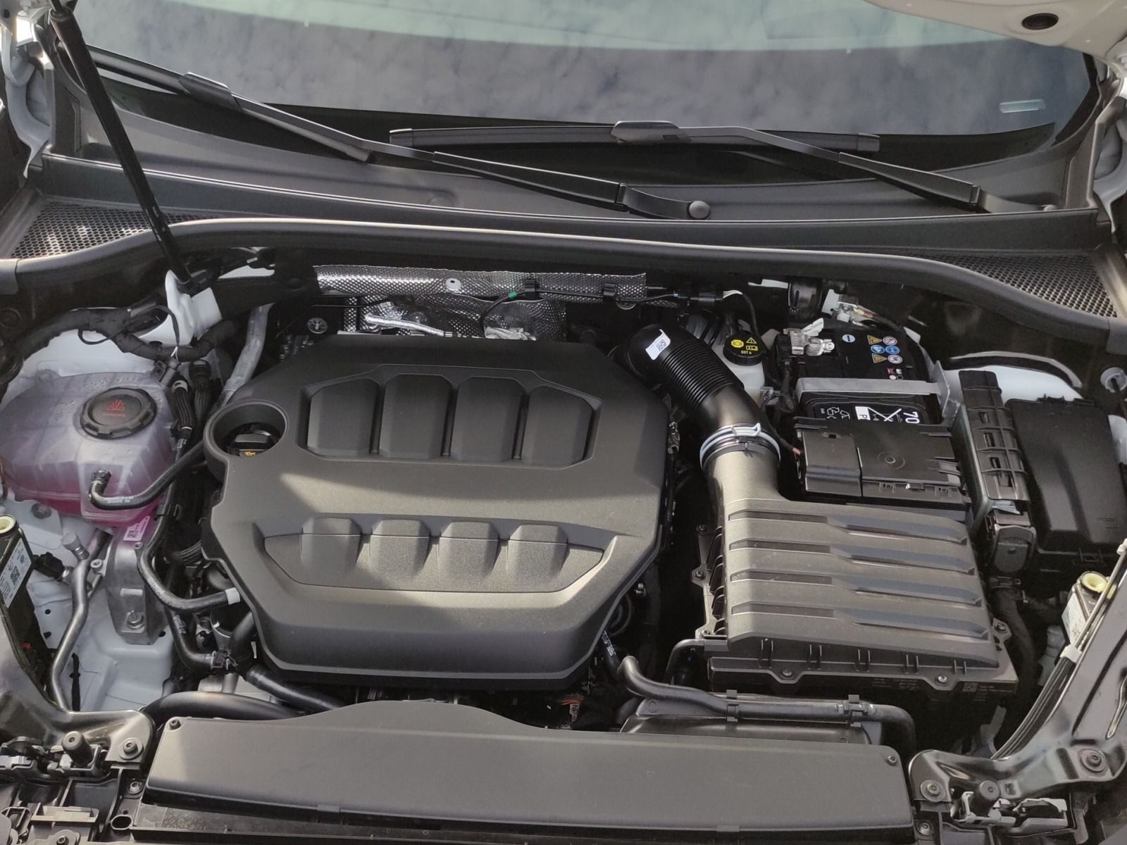 Cupra Terramar - Bild 20