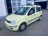 Fiat Panda 1.2 8V MyLive Klima AHK Dachgepäckträger - Fiat Panda in Gelsenkirchen