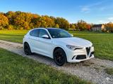 Alfa Romeo Stelvio 2.9 Bi-T. V6 375kW Quadrifoglio AT8-... - Alfa Romeo: Quadrifoglio