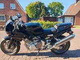 Yamaha TRX850  - Offers matching your search criteria
