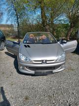 Peugeot Cabrio 206 CC, Roland Garros - Peugeot 206: Roland Garros