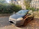 Fiat Punto 1.2 8V  - Fiat Punto in Chemnitz