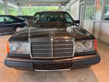Mercedes-Benz 230CE im Top Sammlerzustand sehr gepflegt - Mercedes-Benz 230: 230ce