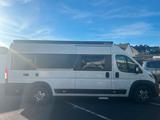 Fiat Ducato Maxi Westfalia Amundsen - Fiat Ducato in Wuppertal