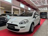 Fiat Punto My Punto*TÜV NEU*RFK*KLIMA* - Fiat Punto Gebrauchtwagen in Stuttgart