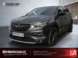 Opel Grandland 1.2 Opel 2020 Kamera Design-Paket LED - Opel Grandland (X) in Dortmund