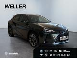 Lexus UX 250h Style Edition *Bi-LED*ACC*CAM*SHZ*CarPla - Lexus Gebrauchtwagen