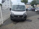 Fiat Ducato Grossr.-Kasten 35 140 L4H2 RS: 4035 mm - Fiat Ducato in Dortmund