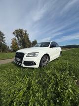 Audi SQ5 3.0 TDI plus quattro/Pano/BO/Rautenstep/AHK - weiße Audi SQ5