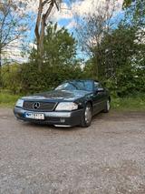 Mercedes-Benz 500 SL (R129) V8 | Sammlerzu... - Mercedes-Benz SL v12