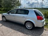 Opel Signum 3,2L V6 - Automatik - Tüv 06/2027 - Opel Signum: V6
