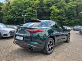 Alfa Romeo Stelvio 2.0 Veloce Q4 ACC Assist-Pkt CarPlay SHZ - Alfa Romeo: Grün