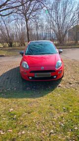 Fiat Punto Young - Fiat Punto in Hannover