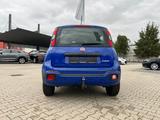 Fiat New Panda 1.0 City Cross Plus *Sitzh. Klima AHK* - Fiat aus 2020