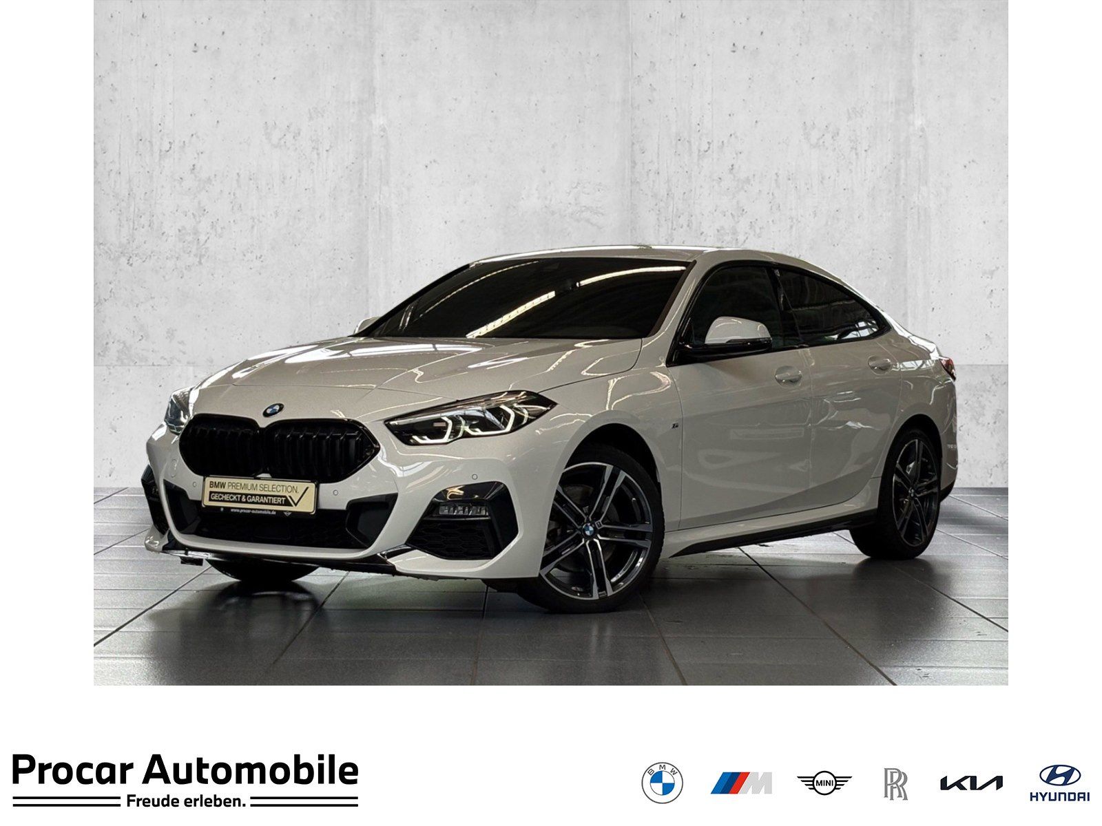 BMW 218i M Sport CarPlay Lhz. Shz. PDC HiFi 18" LMR
